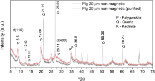 Development of a Nanostructured Film Containing Palygorskite and Dermaseptin 01 Peptide for Biotechnological Applications