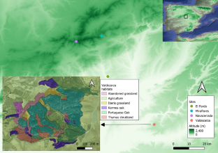 Effects of food availability on butterfly diversity and network specialization across altitudinal levels in a Mediterranean landscape