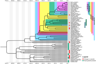 Origins and Functional Significance of Eukaryotic Protein Folds.