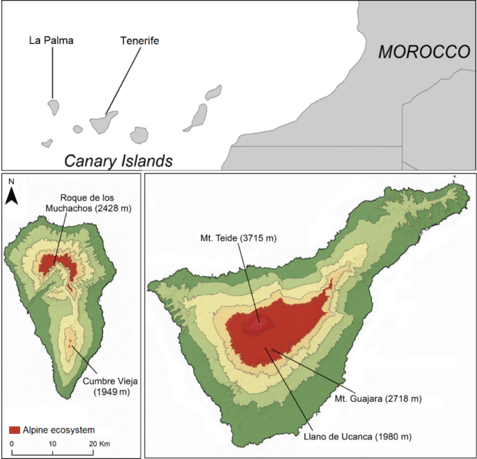 Assessing global warming vulnerability of restricted and common plant species in alpine habitats on two Oceanic Islands