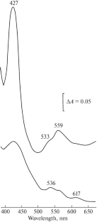 Vitamin K2 Mediates Electron Transport from NADH Dehydrogenase 2 to bd-type Quinol Oxidase in Lacticaseibacillus rhamnosus CM MSU 529