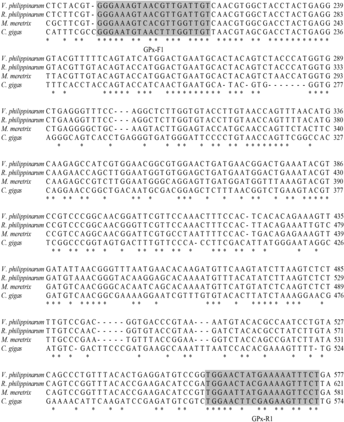 Cloning and mRNA expression of selenium-dependent glutathione peroxidase from the oyster Magallana hongkongensis in response to cadmium exposure and aerial exposure at different temperatures