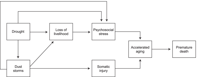 Does a prolonged hardship reduce life span? Examining the longevity of young men who lived through the 1930s Great Plains drought