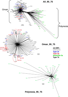 Species and population genomic differentiation in Pocillopora corals (Cnidaria, Hexacorallia).