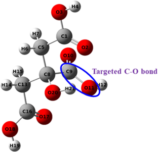 Low energy electron interaction with citric acid: a local complex potential based time-dependent wavepacket study