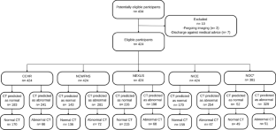 Clinical decision rules in predicting computed tomography scan findings and need for neurosurgical intervention in mild traumatic brain injury: a prospective observational study.