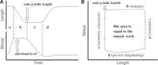 Characteristics of the right atrial and right ventricular contractility in a model of monocrotaline-induced pulmonary arterial hypertension.