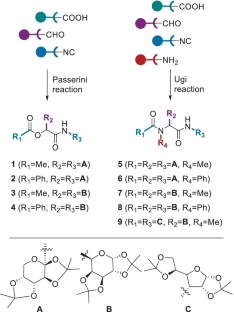 Multicomponent reaction derived small di- and tri-carbohydrate-based glycomimetics as tools for probing lectin specificity.