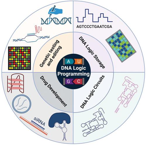 DNA logic programming: From concept to construction