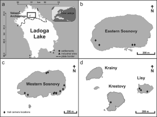 Haul-out site use by Ladoga ringed seal (Pusa hispida ladogensis) on the islands of the Valaam Archipelago