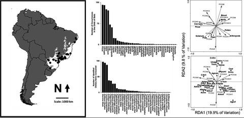 Dietary affinities, resource overlap and core structure in Atlantic Forest phyllostomid bat communities