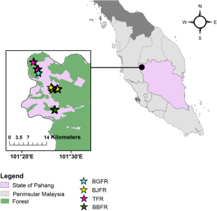 Reforestation could bring native mammal species back in the tropical highlands