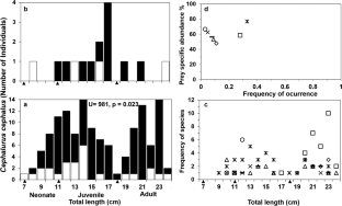 Insights into the trophic interactions of the endemic shark Cephalurus cephalus: diet composition and first infection records of Anisakis and other nematodes