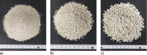 Particle breakage and morphology changes of calcareous sands under one-dimensional compression loading