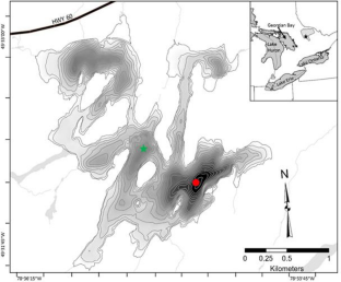 Long-term effects of a 1940s fertilization experiment on diatoms from Cache Lake (Algonquin Provincial Park, Ontario, Canada)