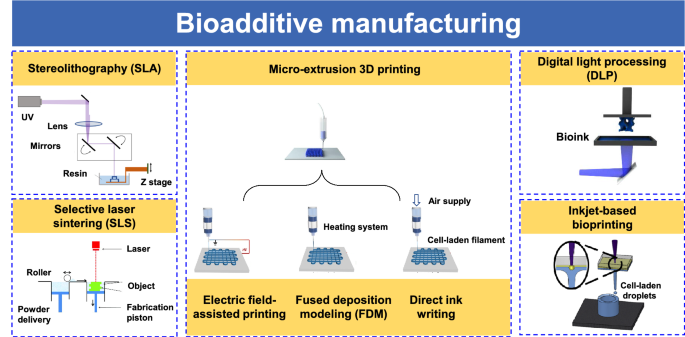 Physics problems in bio or bioinspired additive manufacturing