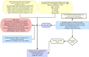 Association between genetically proxied lipid-lowering drug targets, lipid traits, and amyotrophic lateral sclerosis: a mendelian randomization study