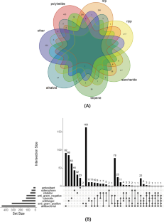 A Multi-Label Learning Framework for Predicting Chemical Classes and Biological Activities of Natural Products from Biosynthetic Gene Clusters.