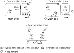 Communication sounds produced by captive narrow-ridged finless porpoises (Neophocaena asiaeorientalis)