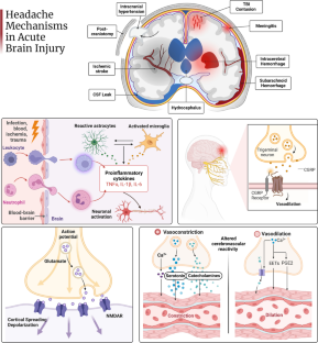 Headache Management in the Neuroscience Intensive Care Unit.