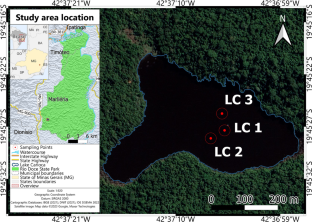 Paleolimnological evidence of the Inverted Trophic Cascade Hypothesis in a Neotropical lake