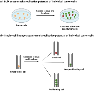 Single-Cell Proliferation Microfluidic Device for High Throughput Investigation of Replicative Potential and Drug Resistance of Cancer Cells.