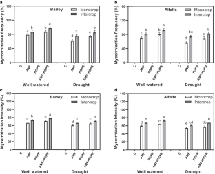 Intercropping and Co-Inoculation of Beneficial Microorganisms of Soils Improve Drought Tolerance in Barley and Alfalfa Plants