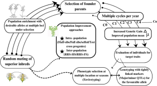 Prospects of Marker-Assisted Recurrent Selection: Current Insights and Future Implications