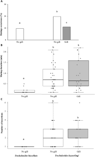 Lack of Female Preference for Nuptial Gifts May Have Led to Loss of the Male Sexual Trait