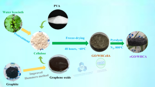 Fabrication of reduced graphene oxide-doped carbon aerogels from water hyacinth for removal of methylene blue in water and energy storage