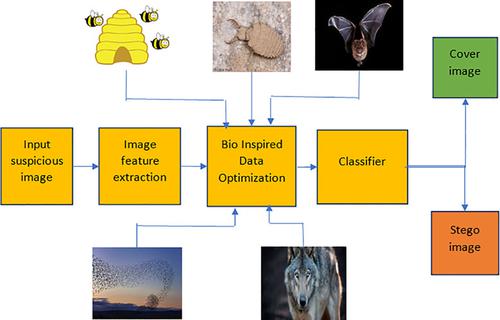 Critical review of bio‐inspired data optimization techniques: An image steganalysis perspective