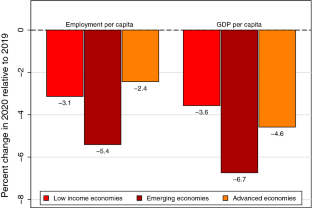 Macroeconomic Effects of COVID-19 Across the World Income Distribution