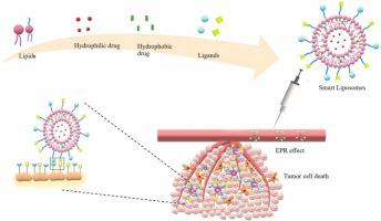 Challenges and emerging strategies for next generation liposomal based drug delivery: An account of the breast cancer conundrum