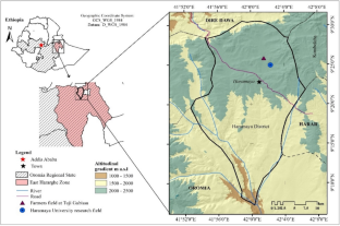 Nitrogen, Phosphorus and Water Use Efficiency of Potato Under Irrigation and Fertilizer Regimes, Eastern Ethiopia