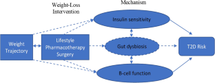 Risk of Type 2 Diabetes Among Individuals with Excess Weight: Weight Trajectory Effects.