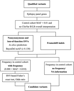 Identification of potential disease-associated variants in idiopathic generalized epilepsy using targeted sequencing