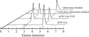 Regulation of T16H subcellular localization for promoting its catalytic efficiency in yeast cells.