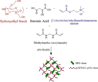 Drug release properties of amphoteric HES/p(AETAC-co-IA) hydrogels decorated with gold nanoparticles