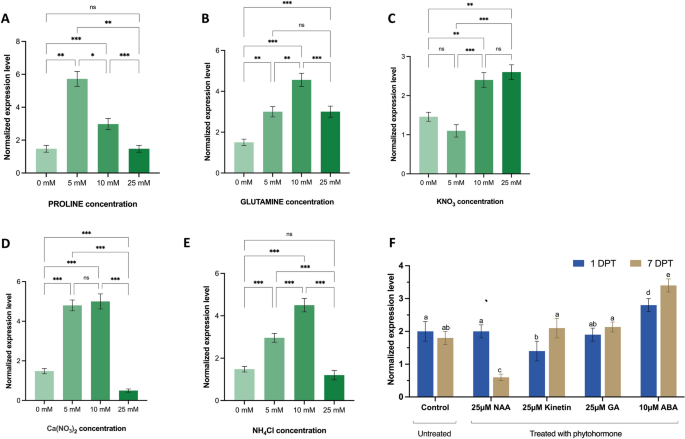 Identification of CBL and CIPK Gene Families and Functional Characterization of PvCIPK7 as an Essential Regulator of Root Nodule Development and Nitrogen Fixation in Phaseolus vulgaris