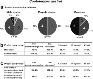 Vertical transmission of cellulolytic protists in termites is imperfect, but sufficient, due to biparental transmission