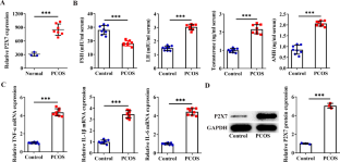 Purinergic receptor P2X7 activates NOX2/JNK signaling to participate in granulosa cell inflammation and apoptosis in polycystic ovary syndrome.