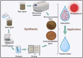 Rhodamine B sequestration using acid-precipitated and microwave-treated softwood lignin: Comparative isotherm, kinetics and thermodynamic studies