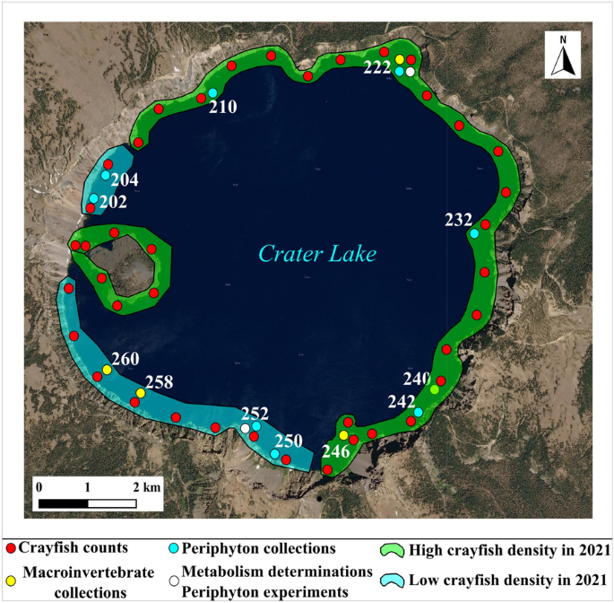 Deterioration of the Littoral–Benthic Ecosystem Following Recent Expansion of Signal Crayfish (Pacifastacus leniusculus) in the World’s Clearest Large Lake