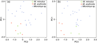 Systematics and evolutionary history of the genus Micromys (Mammalia: Rodentia: Muridae)