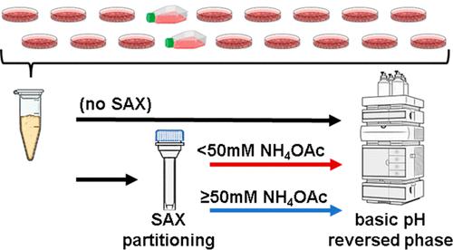 Enhancing Proteome Coverage by Using Strong Anion-Exchange in Tandem with Basic-pH Reversed-Phase Chromatography for Sample Multiplexing-Based Proteomics.