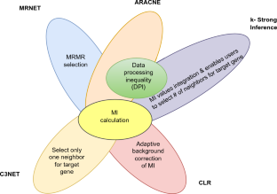 k- Strong Inference Algorithm: A Hybrid Information Theory Based Gene Network Inference Algorithm.