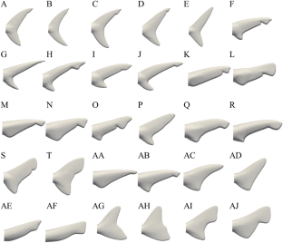 Fluid dynamic properties of shark caudal fin morphology and its relationship to habitats