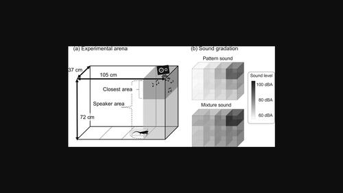 A mixture of artificial and biological sounds improves the effective range of an acoustic repellent for an invasive lizard species