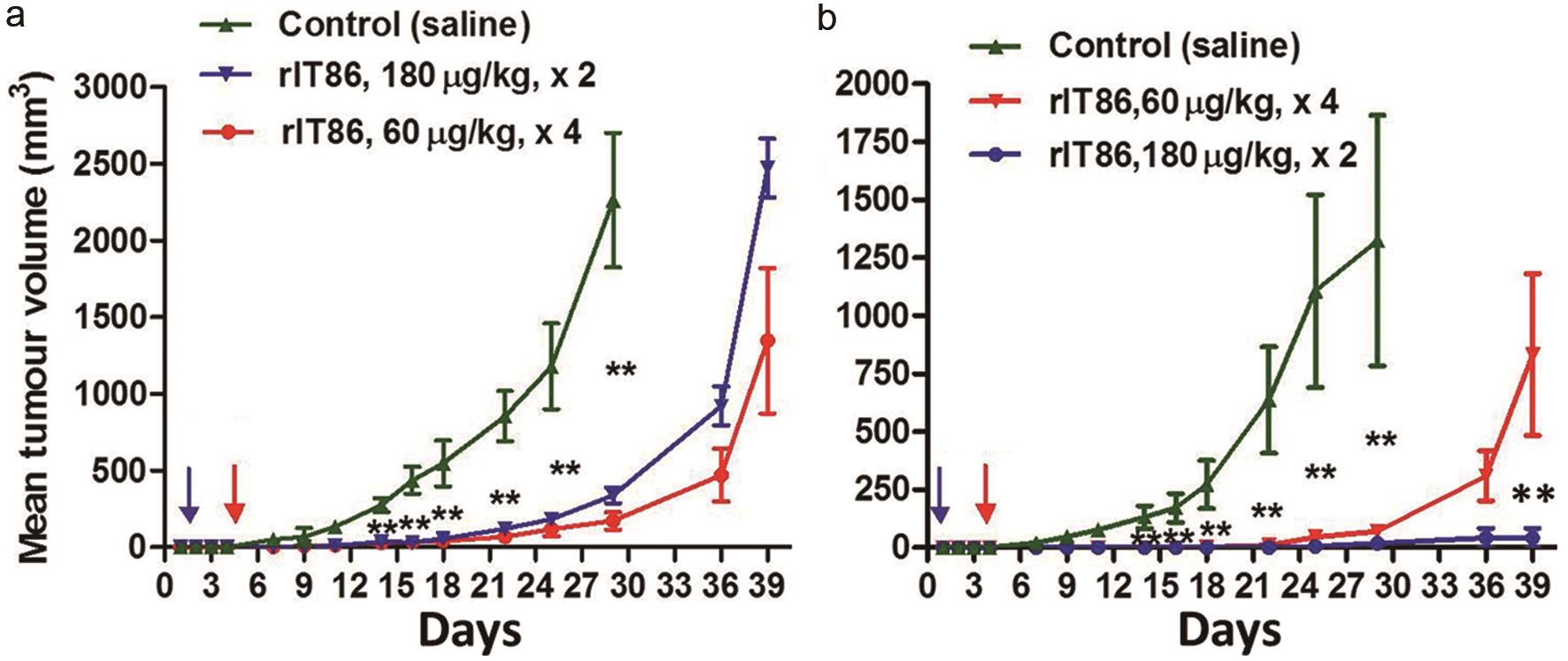 Pre-clinical Exploratory Evaluation of Mab806-derived Immunotoxin in Targeting Solid Tumors with High Potency and Selectivity Towards EGFRvIII