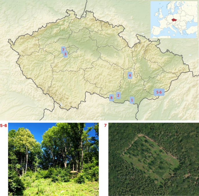 Coppice reintroduction in the Czech Republic: extent, motivation and obstacles